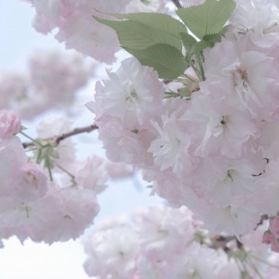 钟山福瑞交流群